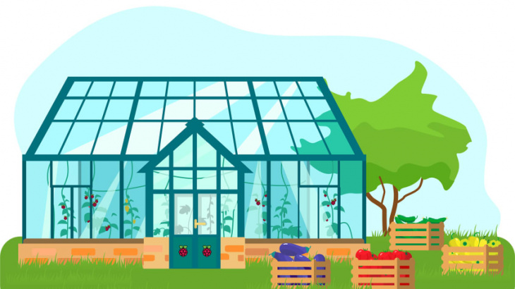 build a greenhouse monitor with a raspberry pi