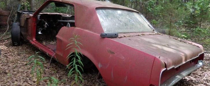 dozen of classic ford mustangs found in a junkyard must be the best christmas gift