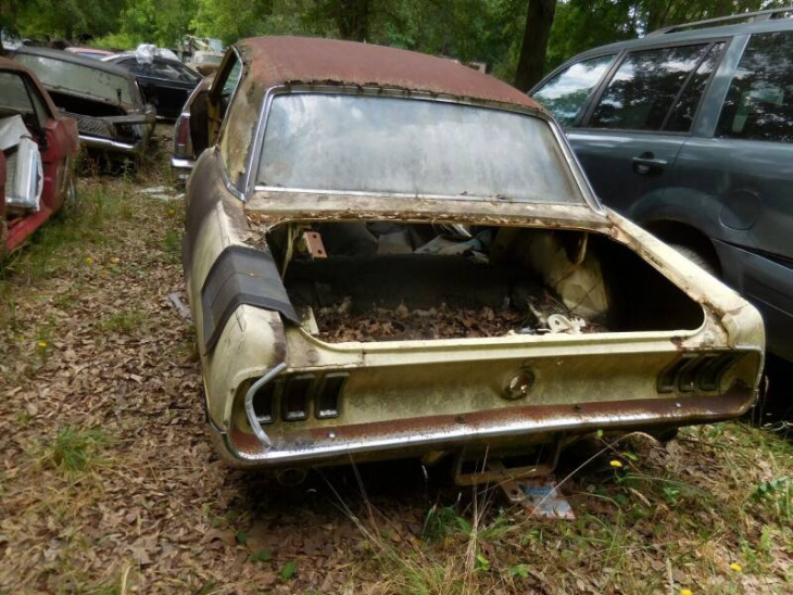 dozen of classic ford mustangs found in a junkyard must be the best christmas gift