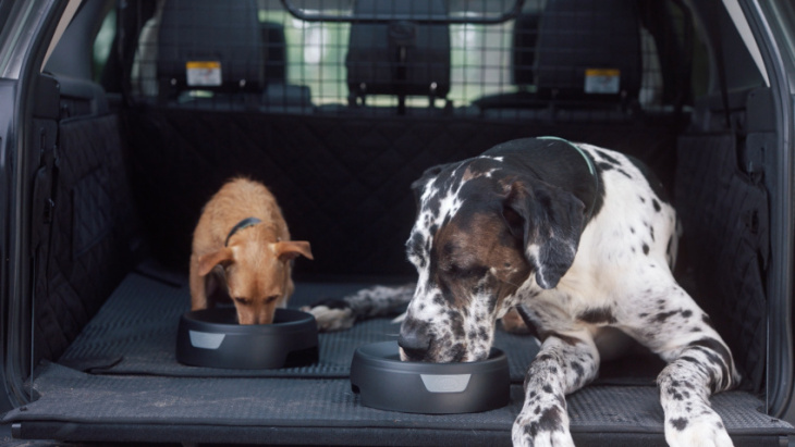 land rover offers up some sweet pet treats. for your suv