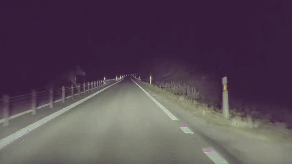 tesla model 3 almost hits moose in sweden as automatic high beams freak out