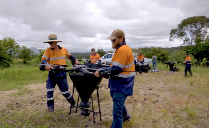 australia turns to drone seeding to restore koala habitats in areas affected by bushfires
