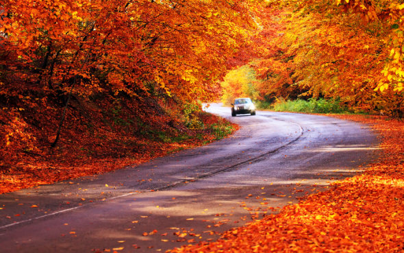 eight driving tips for the fall season