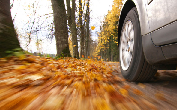 eight driving tips for the fall season