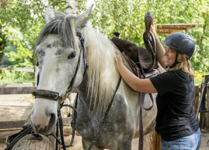 german farm owner saves fuel money with horse-drawn carriage