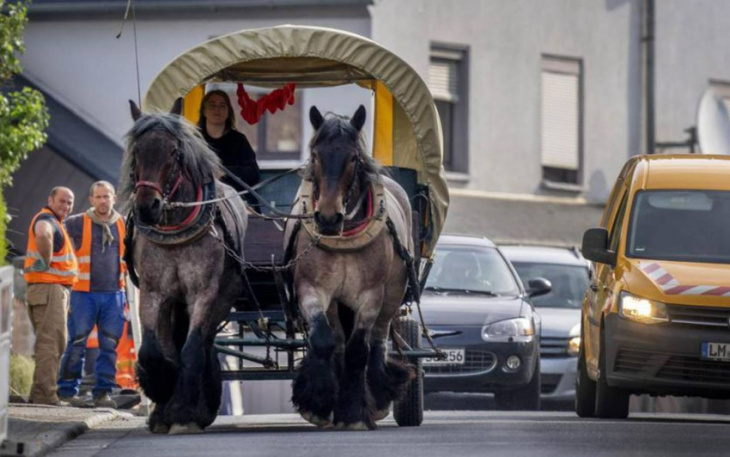 german farm owner saves fuel money with horse-drawn carriage