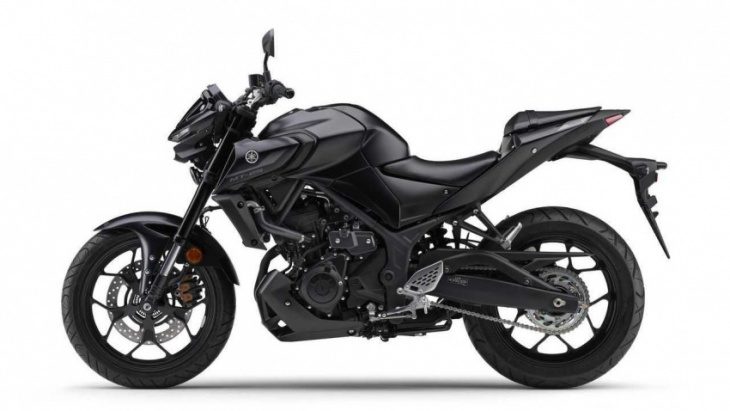 emissions-compliant 2022 yamaha mt-25 launched in japan