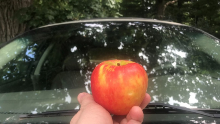 try this secret apple trick on a car windshield and watch the magic happen