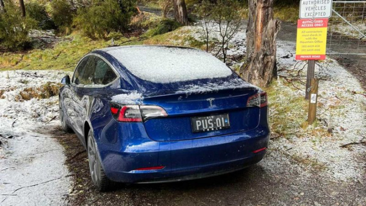 tesla model 3 owner takes trip from gold coat to the snow for under $20