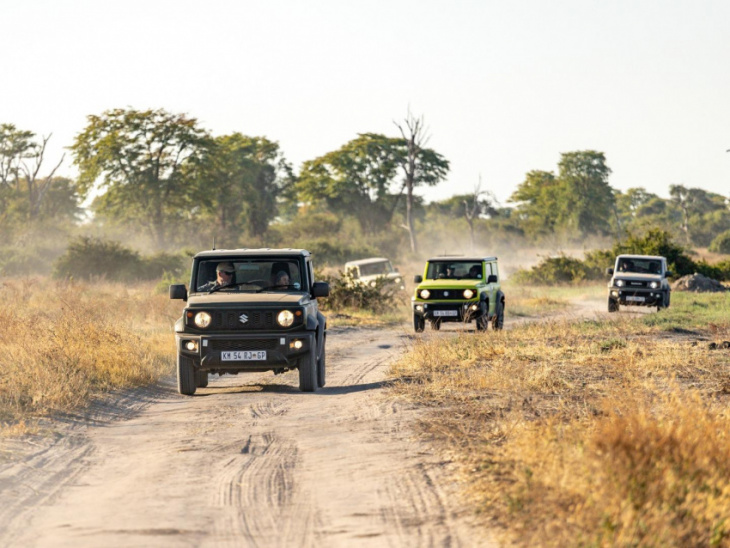 suzuki safari 2022 - big in botswana