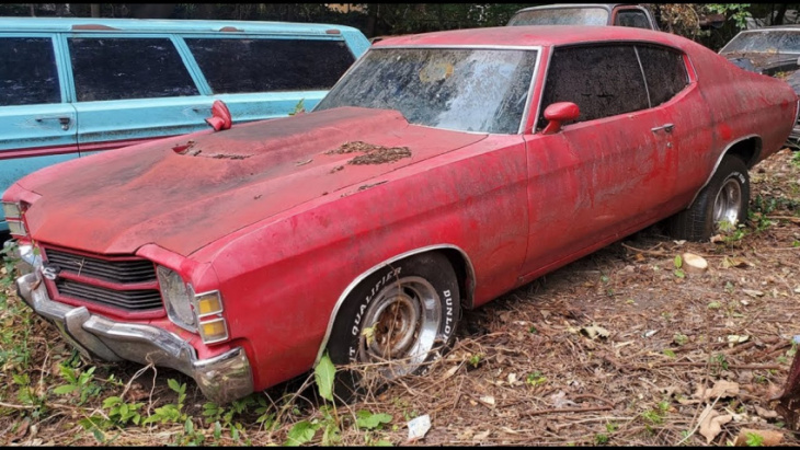 this 1971 chevelle has been sitting in a yard for 20 years or more