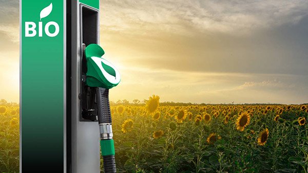 maruti suzuki to launch biofuel-powered cars: biomethane to be the fuel of choice
