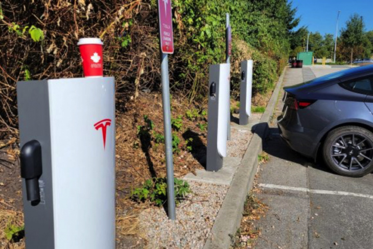 thieves cut, steal cables from b.c. tesla charger station