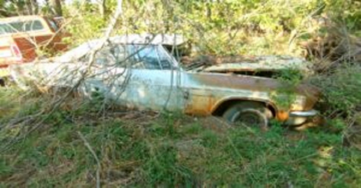 chevrolet impala 1966 sitting for 35 years in a field hides a mystery under the hood.