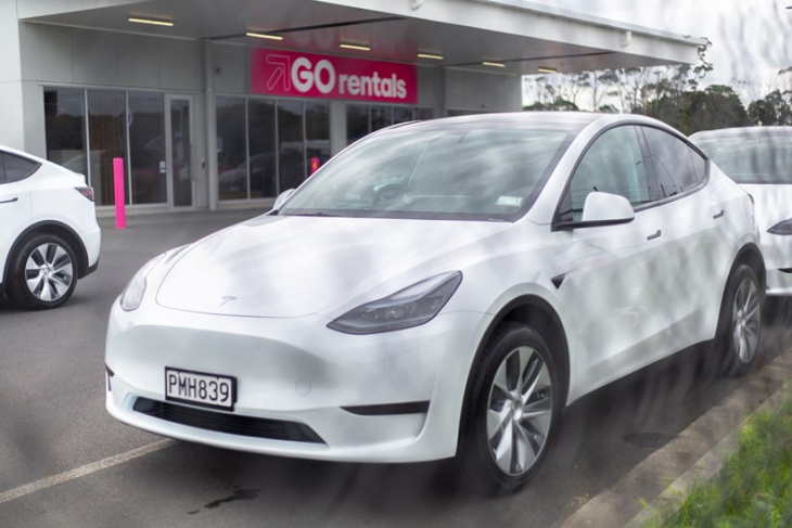 go rentals, first rental car company in nz to offer fleet of the new tesla model y