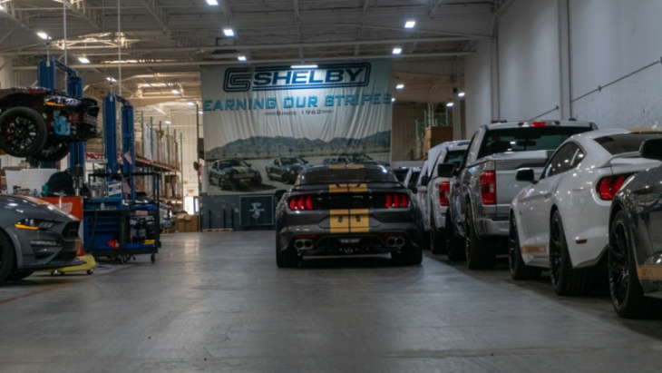 super snakes, oh my! we checked out shelby’s las vegas operation