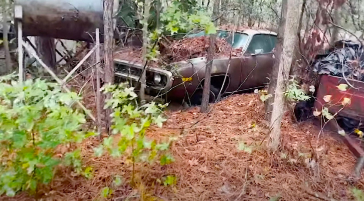 1973 plymouth satellite found in the woods