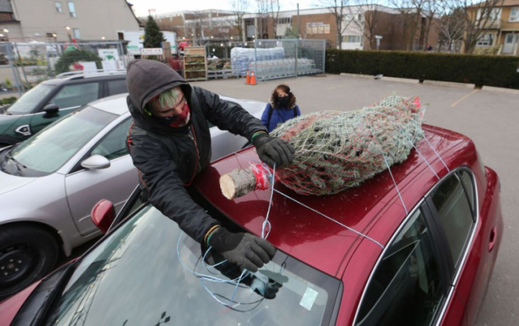 how to, how to bring a christmas tree home tied to your car, suv or truck