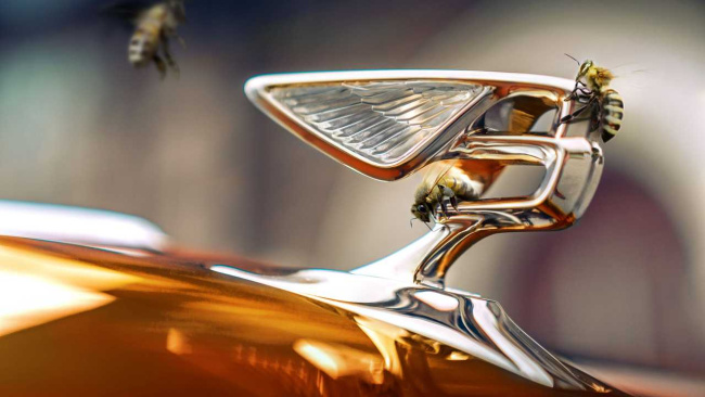 bentley harvested a record 1,000 jars of honey from its flying bees