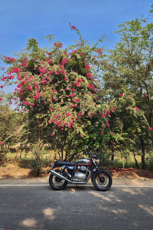 My experience upgrading from an RE Machismo 500 to an Interceptor 650:, Indian, Member Content, royal enfield interceptor 650