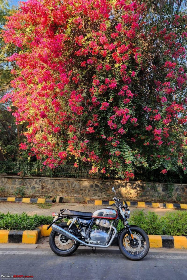 In pictures: My RE Interceptor 650 with murals of Delh's art district, Indian, Member Content, Royal Enfield, royal enfield interceptor 650, motorcycles, Bikes