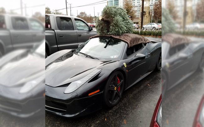 automotive, no matter what you drive, the christmas tree’s gotta get home