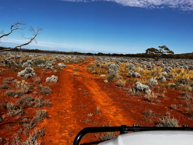 outback south australia: mt ive station