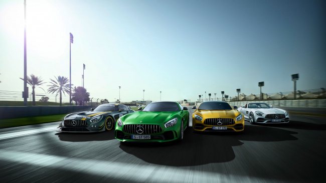 commemorating 55 years of amg