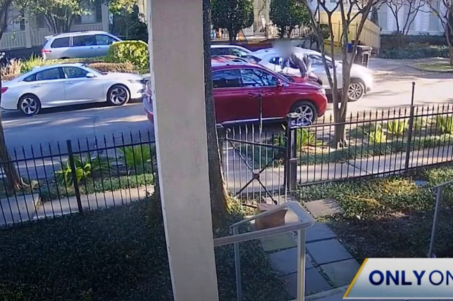 video, offbeat, lexus rx owner uses soup to stop thief stealing car