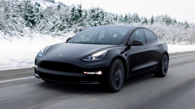consumer reports, model 3, tesla, only 1 tesla model is recommended by consumer reports in 2023