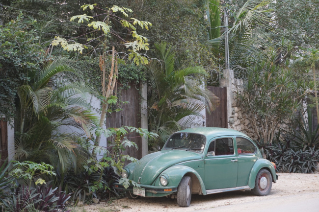 beetle, volkswagen, volkswagen built the classic vw bug for so long, it overlapped with the new beetle