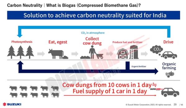 cow dung biogas to power cars – maruti suzuki reveals plans
