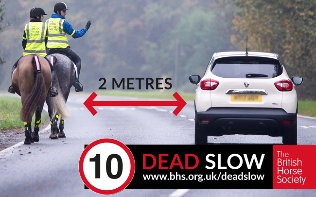 Horse road incidents rise by a fifth after Highway Code changes to protect vulnerable