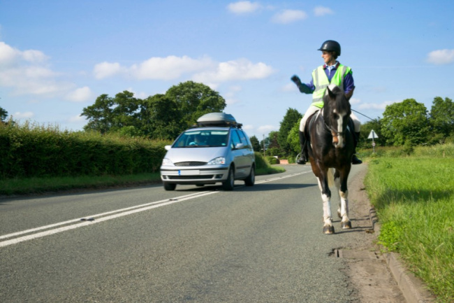 british horse society, deaths, highway code, horses, road safety, roads, safety, horse road incidents rise by a fifth after highway code changes to protect vulnerable