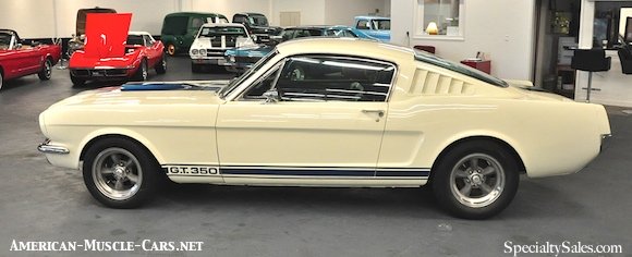 1965 Shelby Mustang GT350, Shelby, Shelby Mustang GT350