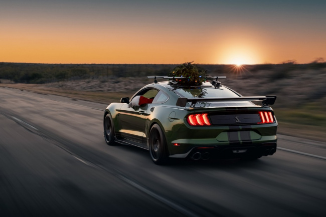 ford, mustang, shelby, hennessey mustang shelby gt500 broke a speed record with one really strange passenger