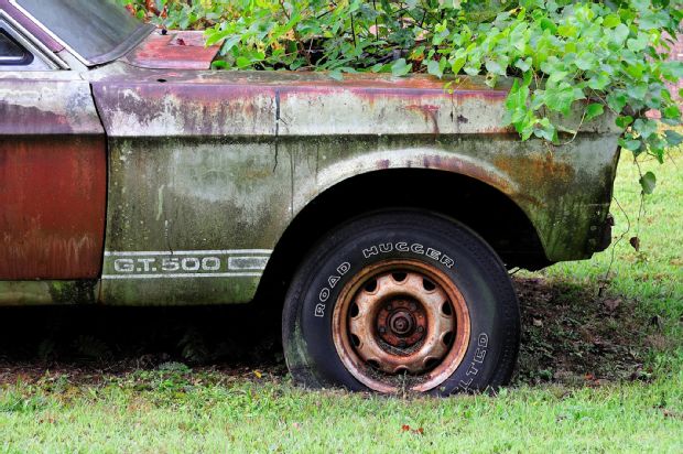 this ’67 shelby gt500 has been rotting in a yard for 20 years!