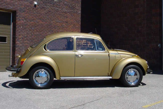 on the road: an enduring love of the humble beetle