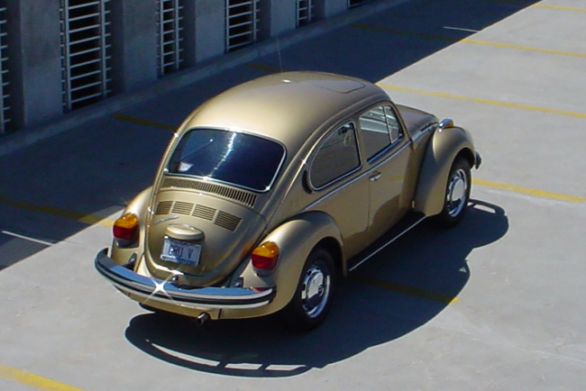 on the road: an enduring love of the humble beetle