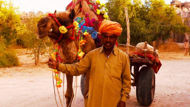 camel cart, camel carts with aircraft tyres, camel cart with airplane wheel, jugaad, camel cart ride, indian inventiveness, incredible india, , overdrive, incredible india-where camel carts run on aircraft wheels and tyres