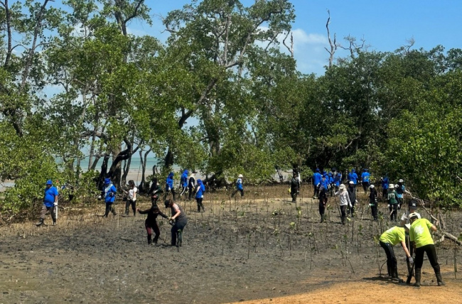 autos toyota, umw toyota motor commits to mangrove rehabilitation efforts at tanjung tuan, melaka