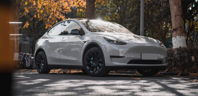 Tesla Model Y continues to be a strong presence in China’s NEV segment