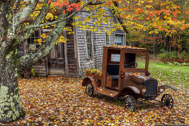 Autumn Leaves Vintage Pickup Truck, old car, pickup truck, vintage truck