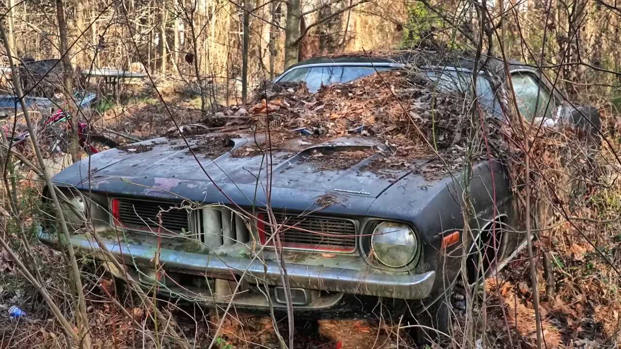 The shape of a Plymouth Cuda is recognizable through weeds and trees surrounding it.