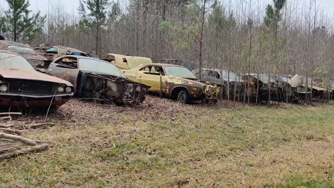 news, muscle, american, newsletter, handpicked, sports, classic, client, modern classic, europe, features, luxury, trucks, celebrity, off-road, exotic, asian, tuner, mopar muscle car junkyard is hidden in the woods