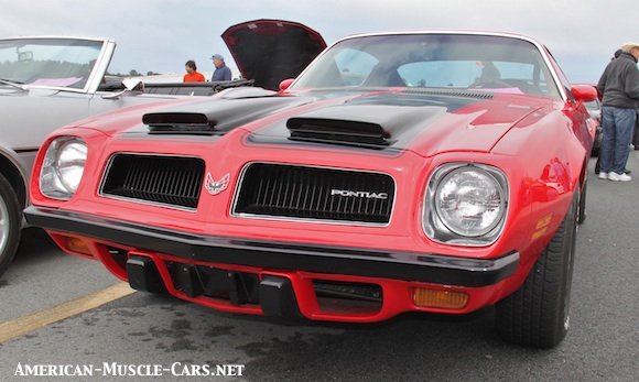 1974 Pontiac Firebird, Pontiac, Pontiac Firebird