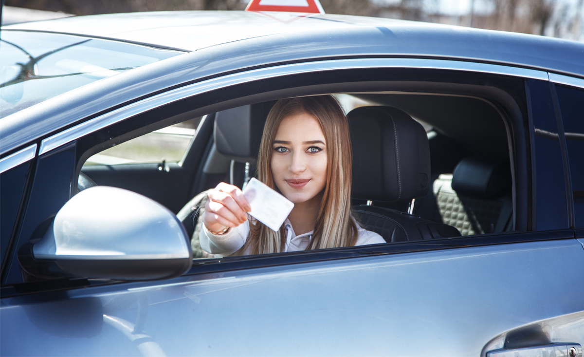 dltc, driver's licence, prdp, professional driving permit, benefits of a professional driving permit – and what you need to get one