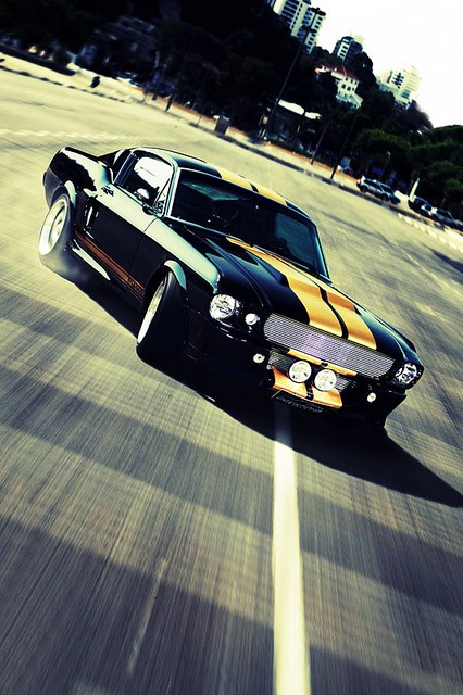 GT 500 Shelby, muscle car, Shelby