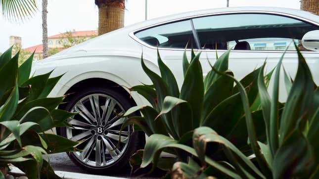 A white 2023 Bentley Continental GT Speed is parked behind some succulent plants.