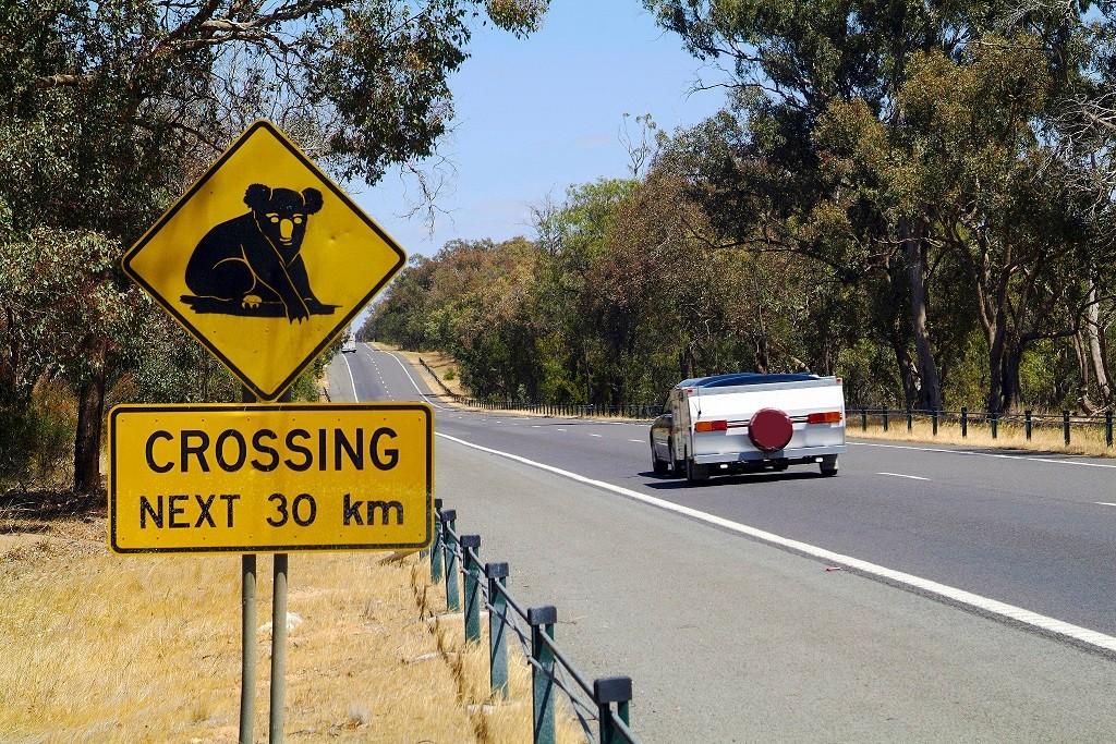 car features, carpool, the weird and wonderful road signs of australia and what they mean